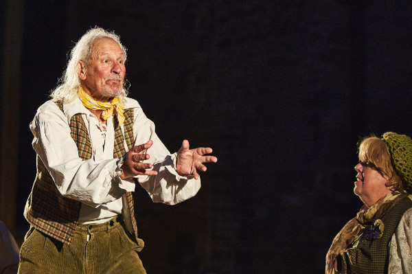A scene from A Midsummer Night's Dream
