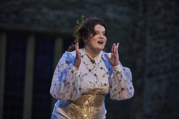 A scene from A Midsummer Night's Dream