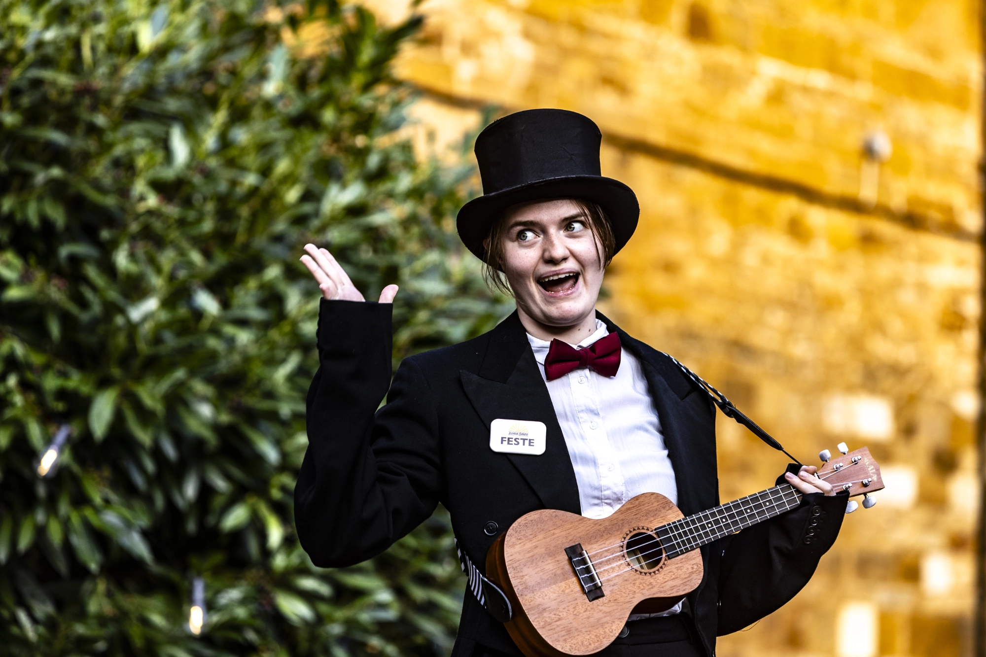 A scene from Twelfth Night